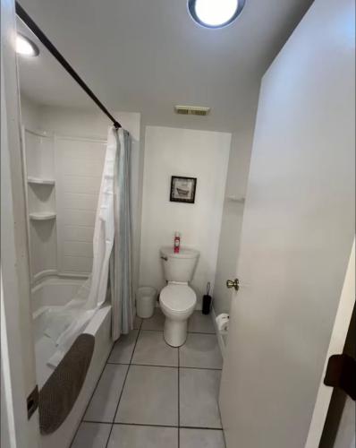 photo_10_2026-01-20_02-29-36