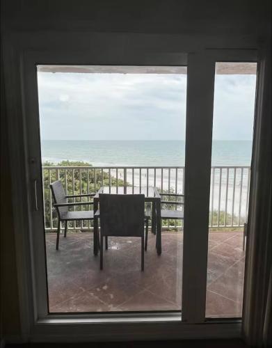 photo_11_2026-01-20_02-29-36