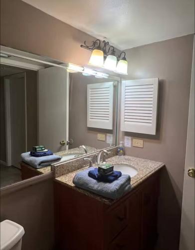 photo_12_2026-01-20_02-29-36