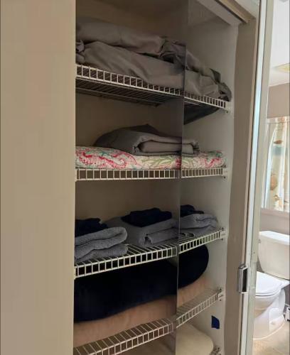 photo_14_2026-01-20_02-29-36