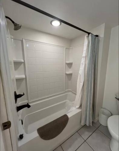 photo_17_2026-01-20_02-29-36