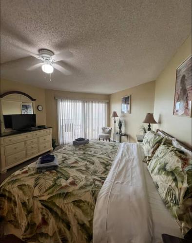 photo_20_2026-01-20_02-29-36