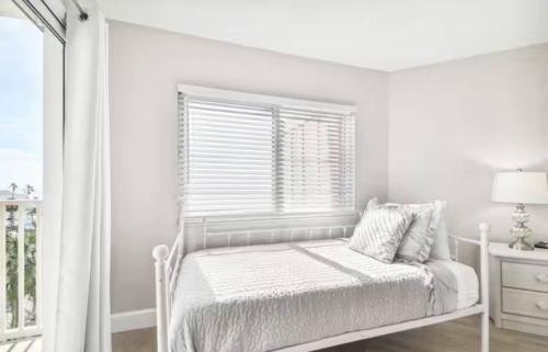 photo_22_2026-01-14_12-41-33