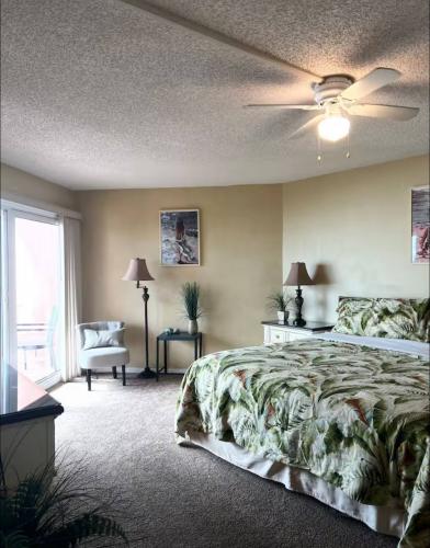 photo_23_2026-01-20_02-29-36