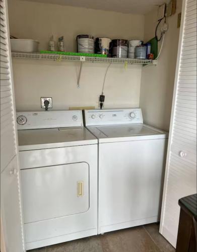 photo_28_2026-01-20_02-29-36