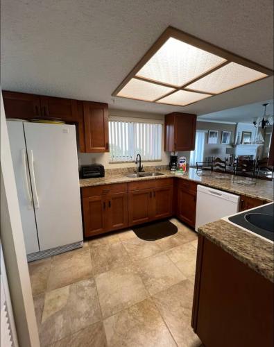 photo_37_2026-01-20_02-29-36