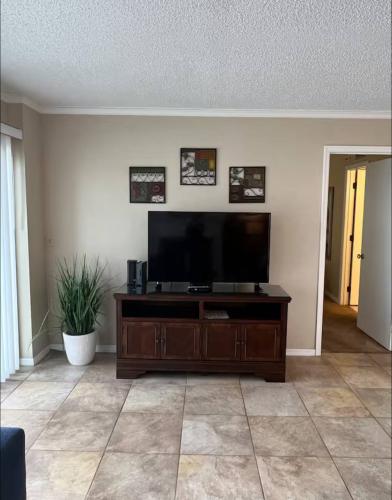 photo_39_2026-01-20_02-29-36