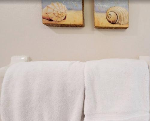 photo_5996906868418661424_y