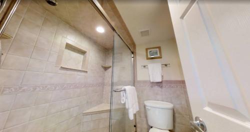 photo_5996906868418661487_y