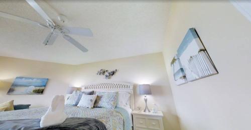 photo_5996906868418661503_y