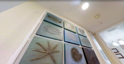 photo_5996906868418661504_y