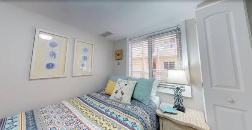 photo_5996906868418661545_y