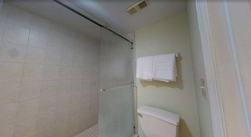 photo_5996906868418661549_y