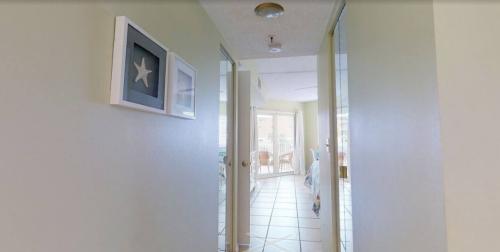 photo_5996906868418661551_y