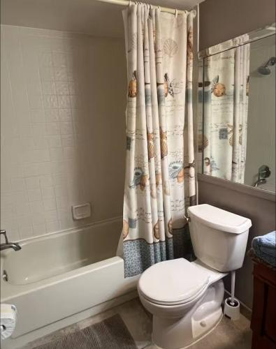 photo_9_2026-01-20_02-29-36